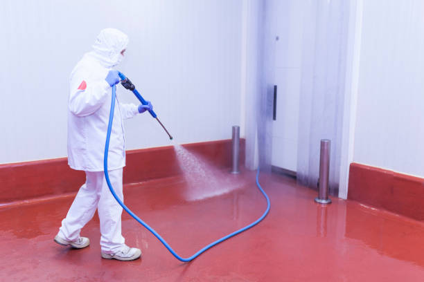 Best Pre-Holiday Cleaning  in Dayton, TX